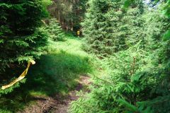 800-W2P04590-03772371_HD_w2photo