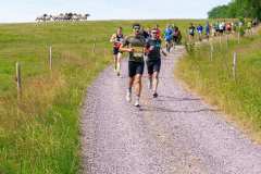 200-W2P05132-03772371-w2photo