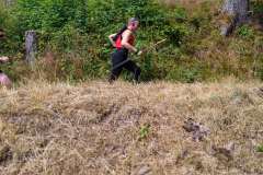 503-W2P09532-03772310-w2photo
